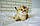 Мальчик ♂ Британский короткошерстная - золотая шиншилла, д.р. 08.04.2023. Питомник Royal Cats. Украина, Киев, фото 6