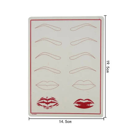 Штучна шкіра Брови та Губи для навчання