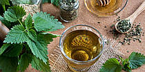 Nettle Root Extract: про цілющі властивості екстракту кореня кропиви