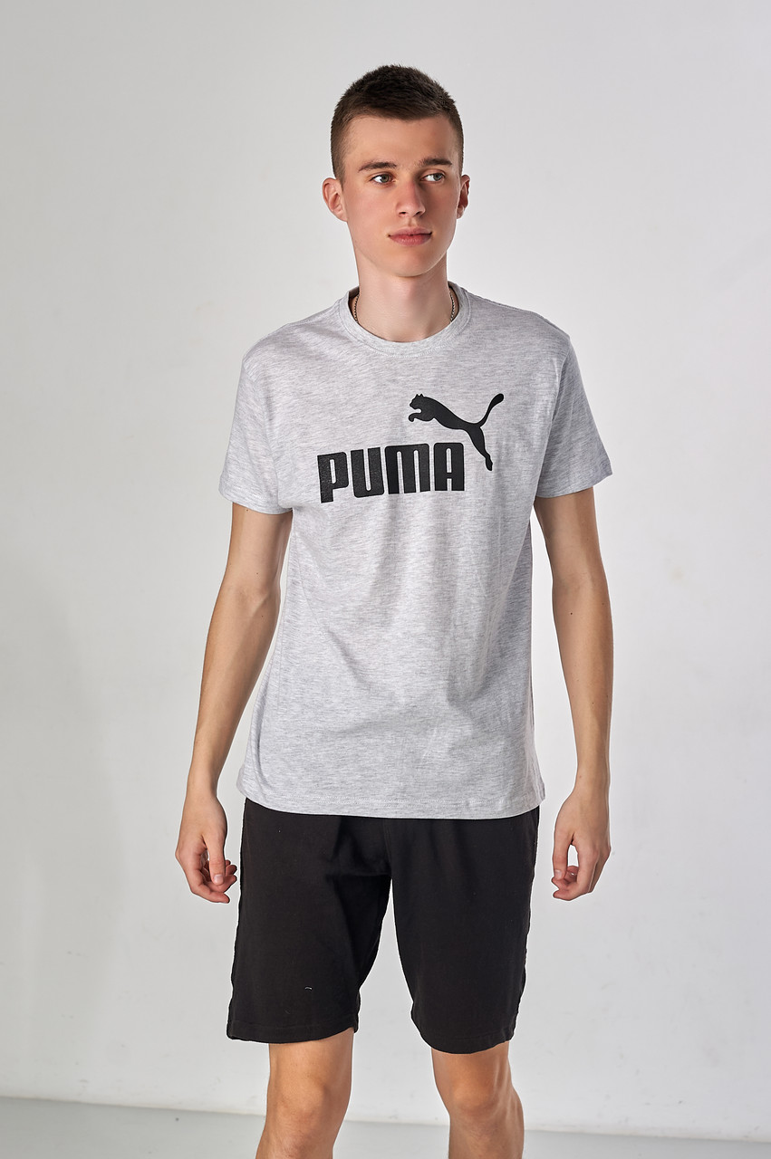 Чоловіча футболка Puma, сірого кольору