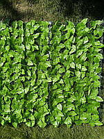 Паркан зелений декоративний  3х1 м, фото 3