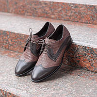 Чоловіче взуття Ікос коричневі броги
