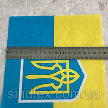 Прапор України з тризубом, 20х28 см з присоскою, фото 2