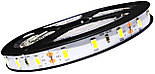 Світлодіодна стрічка 12V 5630 (60LED/м) IP20, фото 3