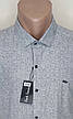 Стильна чоловіча сіра теніска Paul Smith vk-0210 в принт приталена Туреччина, чоловіча сорочка короткий рукав, фото 9