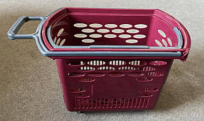 Кошик на колесах (лісова ягода)