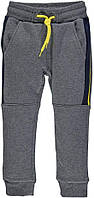 Утепленные Детские спортивные штаны для мальчика с начесом  BRUMS Италия 193BFBM004 Серый