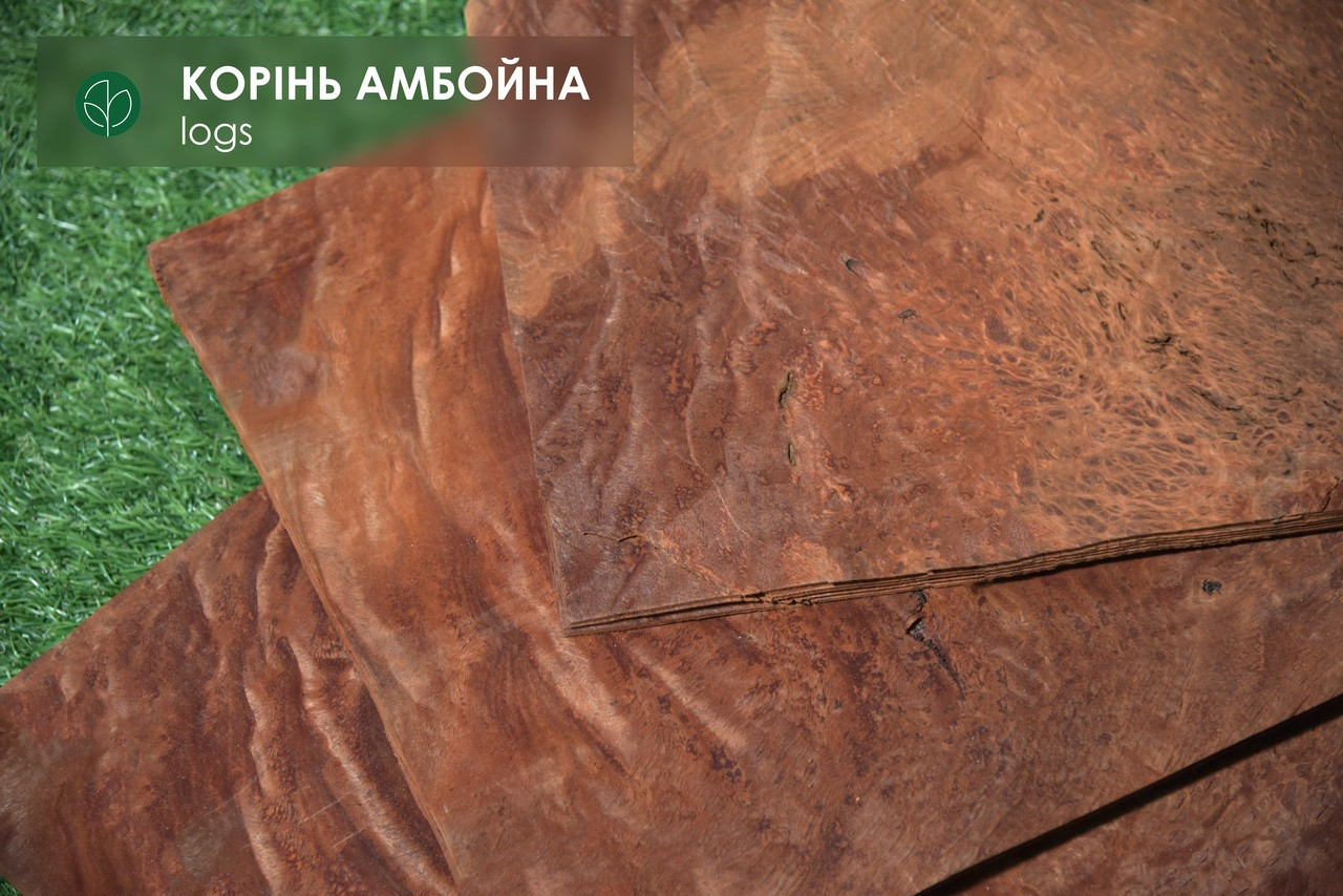 Шпон корінь амбойни 0,6 мм - Logs
