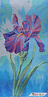 ТМ-114 Садовые зарисовки Ирис, набор для вышивки бисером картины
