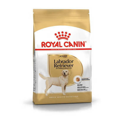 Royal Canin Labrador Retriever Adult Сухий корм для дорослих Лабрадорів 12кг, фото 1