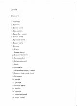 Результаты исследований 2022 г. 10