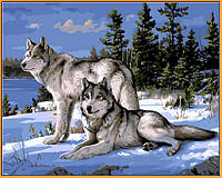 Картина по номерам Babylon Волки на снегу (в раме) (NB236R) 40 х 50 см