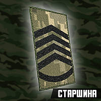 №7.11 погон Головний сержант, фон піксель 10х5см