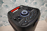 Портативні колонки Manta SPK5310Pro, фото 5