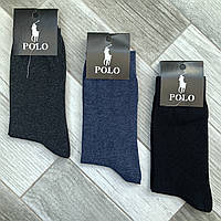 Носки мужские демисезонные хлопок Polo, Турция, размер 41-45, ассорти, 09862