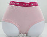 Труси XL-42 сірий,рожевий,блакитний Polo 17917, фото 5