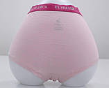 Труси XL-42 сірий,рожевий,блакитний Polo 17917, фото 8