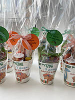 Цукерки для свята в дитячому садку, Набір цукерок для дитячого ранку, солодощі малюкам