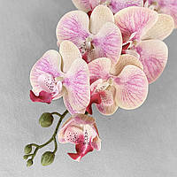 Искусственная орхидея фаленопсис шампань с розовым VF 0102