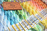 DMC Color Variations Perle Cotton Size #5 - 4060, фото 2