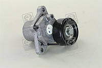 Ролик ремня ГРМ HYUNDAI/KIA ACCENT, ELANTRA, GETZ, SOUL, i20/i30/i30CW, MATRIX, CERATO (пр-во Mobis) 252812A10