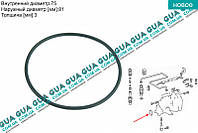 Сальник / уплотнительное кольцо / прокладка топливного насоса високого давления ТНВД 1245906 Mercedes /