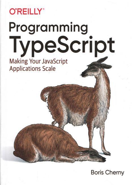 Programming TypeScript: Making Your JavaScript Applications Scale 1st Edition, фото 1