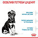 Сухий корм Royal Сanin Maxi Puppy для цуценят великих порід, 4КГ, фото 6