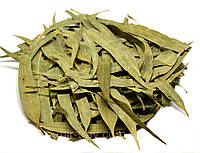 Эвкалипт прутовидный листья 100 грамм