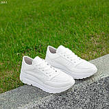 Кросівки жіночі білі шкіряні літні перфоровані Натуральна шкіра перфорація Розміри 36 38 41, фото 3