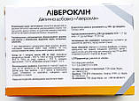 Лівероклін засіб для здоров'я печінки для відновлення та зміцнення, фото 3
