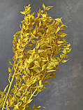 Рускус жовтий ( 3 шт ), фото 3