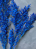 Рускус синій ( 3 шт ), фото 3