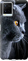 Чехол силиконовый на Vivo Y21 Красивый кот