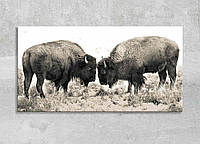 Картина Бизоны Ретро стиль Животное Современный декор на стену Буйволы Большие животные Долина Дикая природа