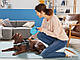 Шлейка/шлея для собак ХL Zoofari зі світловідбиваючими елементами для собак з окружність грудей 90-119 см, фото 6