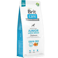 Корм для молодых собак больших пород Brit Care Dog Grain-free Junior Large Breed беззерновой с лососем 12кг