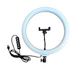 Кільцева LED лампа 3D RGB 26 см кольорова двостороння зі штативом 2 м Селфі кільце для блогерів від USB, фото 5