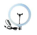 Кільцева LED лампа 3D RGB 26 см кольорова двостороння зі штативом 2 м Селфі кільце для блогерів від USB, фото 4