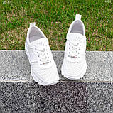 Кросівки жіночі білі шкіряні літні перфоровані Натуральна шкіра перфорація Розміри 36 - 41, фото 7