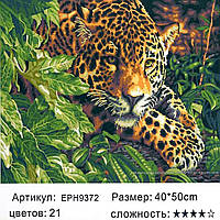 Картина для раскрашивания по номерам в коробке EPH9372 (50*40 см., Ягуар)