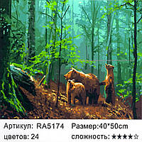 Картина для раскрашивания по номерам в коробке RA5174 (50*40 см., Медведи)