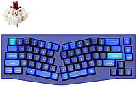 Keychron Клавіатура Q8 100 Key QMK Gateron G PRO Brown Hot-Swap RGB Knob ENGLISH Blue Use