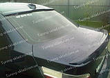 Спойлер на скло BMW E60 серія 5 (спійлер заднього скла БМВ Е60), фото 2