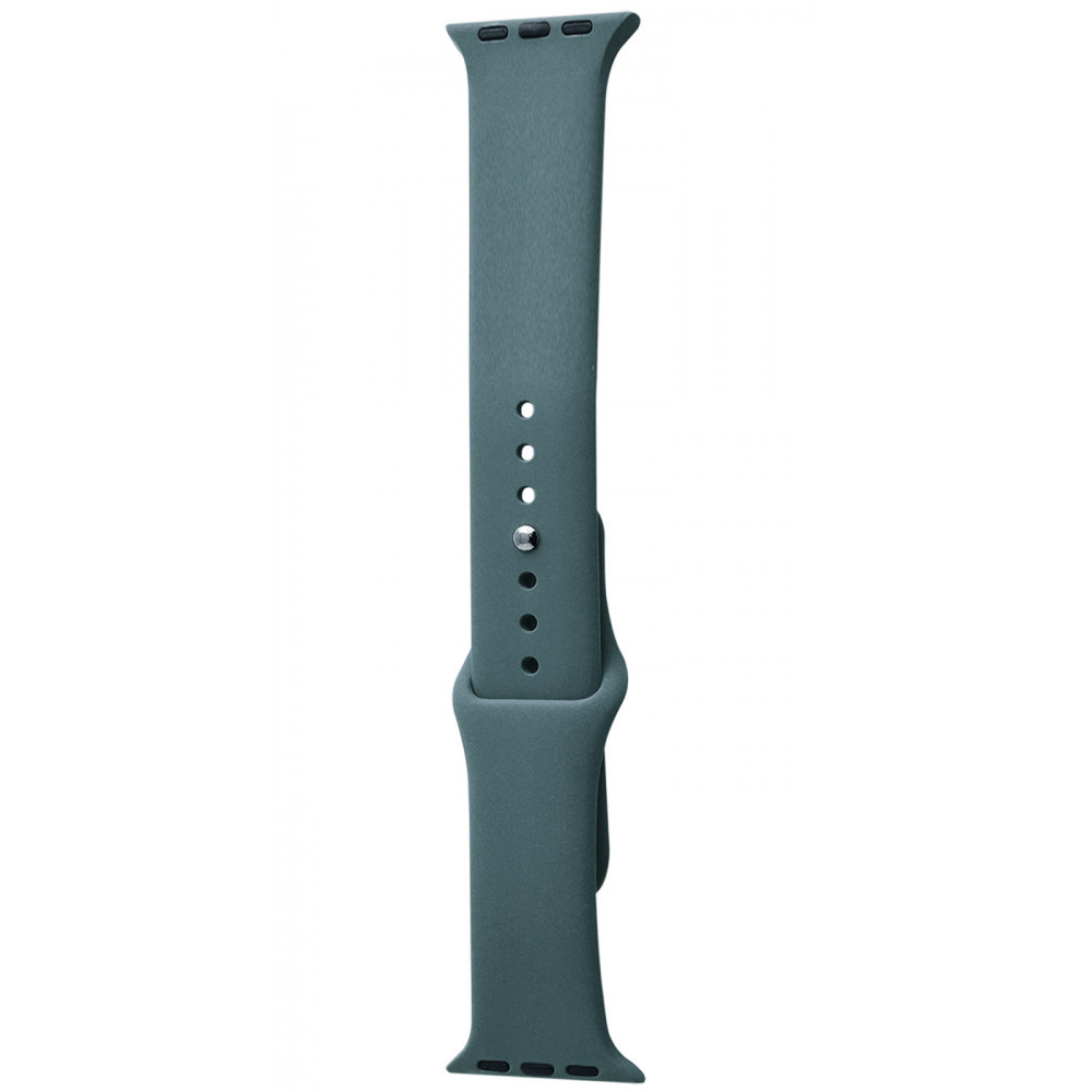 Ремінець Apple Watch Sport Band 42 mm/44 mm (M) 2pcs cactus