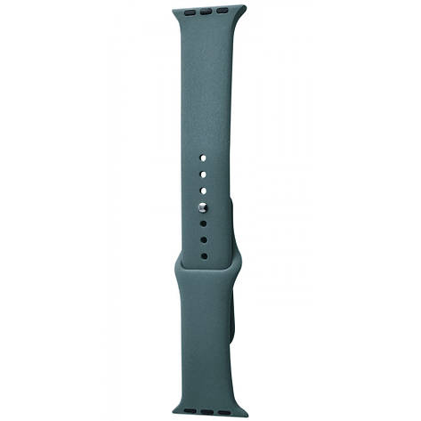 Ремінець Apple Watch Sport Band 42 mm/44 mm (M) 2pcs cactus, фото 1