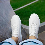 Кеди жіночі білі шкіряні низькі кросівки Натуральна шкіра Розміри 36 37 38 39 40, фото 5