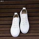 Кеди жіночі білі шкіряні низькі кросівки Натуральна шкіра Розміри 36 37 38 39 40, фото 8