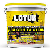 Краска акриловая водно-дисперсионная для стен и потолков Lotus 5 л Белый AO, код: 7444038