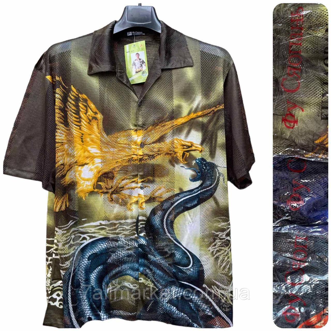 Сорочка чоловіча, сітка молодіжна розмір 48-56 (мікс кв) "NICOLAS" недорого від прямого постачальника